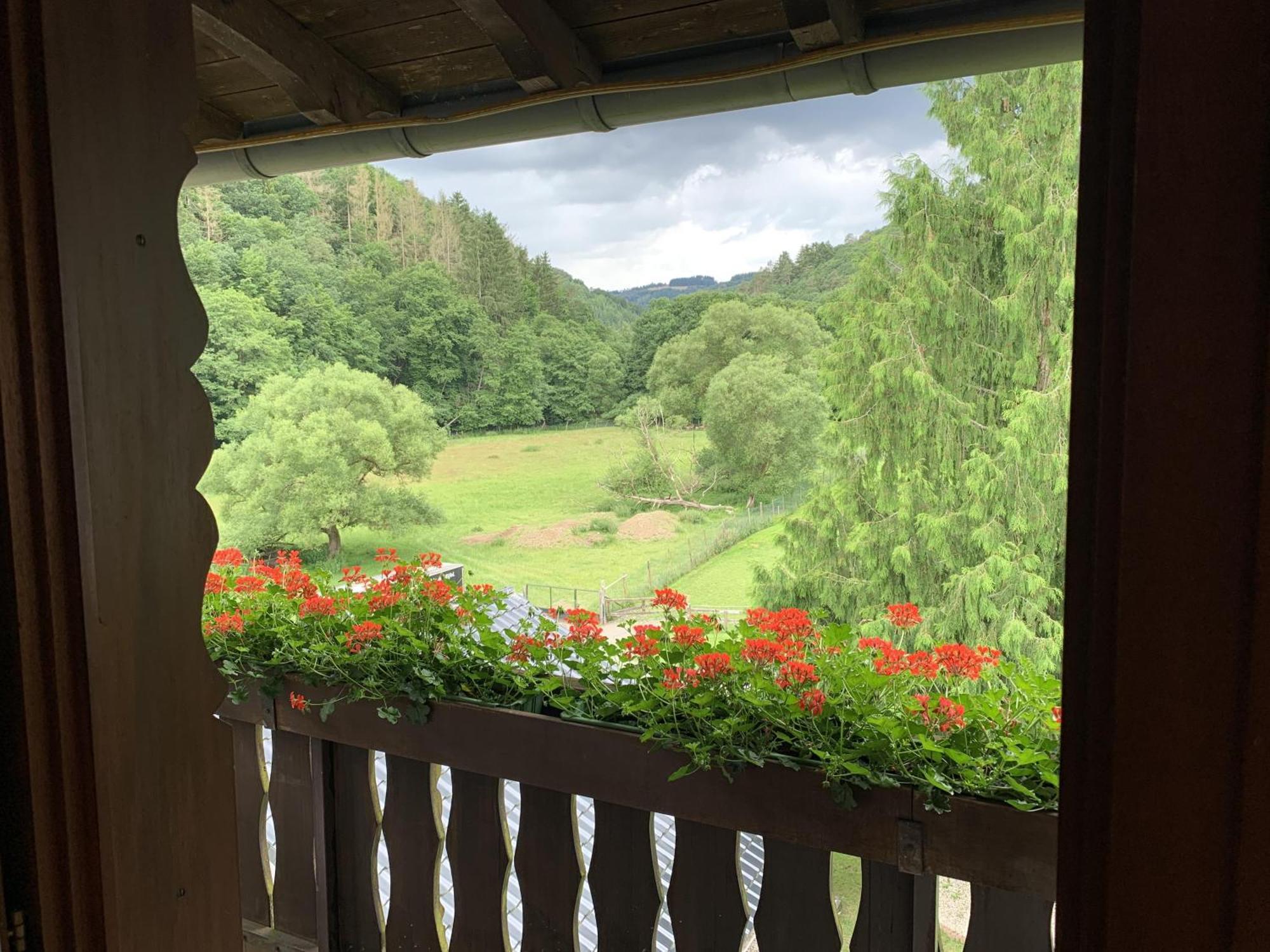 Hotel Forsthaus Volkesfeld Szoba fotó